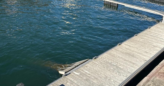 Che fine ha fatto il nuovo porto turistico?