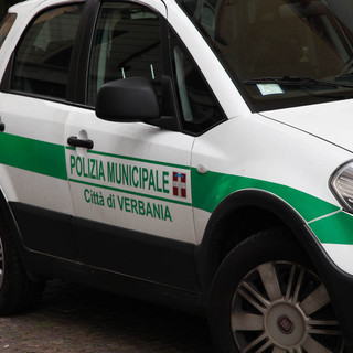 Albero crolla sul lungolago di Intra: un ferito