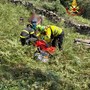 Incidente nei boschi sopra Cossogno: uomo rimane schiacciato da un albero, salvato dai soccorritori