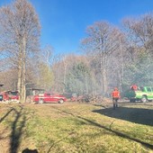 Principio di incendio boschivo tra Germagno e Alpe Colla: fiamme subito domate