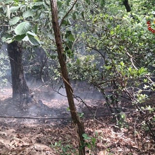 Incendio boschivo sul Monterosso: intervento tempestivo dei soccorsi