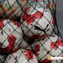 Battuto il Dormelletto, primi punti in campionato per il Feriolo Battuto il Dormelletto, primi punti in campionato per il Feriolo