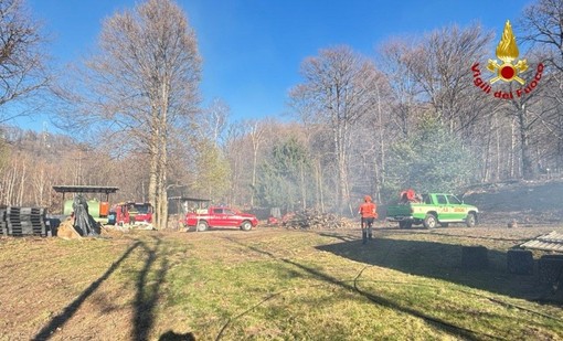 Principio di incendio boschivo tra Germagno e Alpe Colla: fiamme subito domate