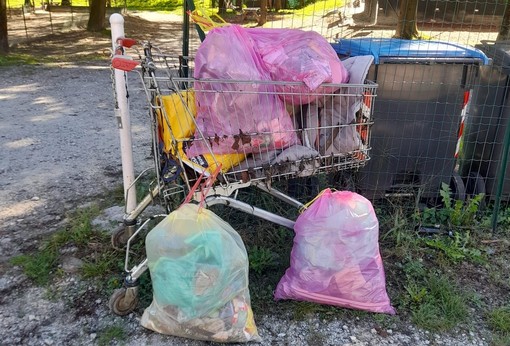 Gravellona Toce, studenti in campo con Plastic Free per ripulire il territorio
