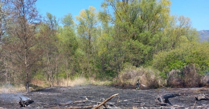 Incendio a Fondotoce, in fiamme un’area di canneto: intervento dei Vigili del Fuoco Incendio a Fondotoce, in fiamme un’area di canneto: intervento dei Vigili del Fuoco