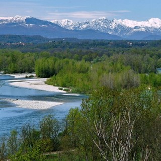 Una passeggiata alla scoperta dei suoni del Parco del Ticino