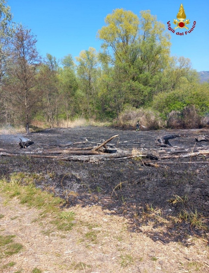 Incendio a Fondotoce, in fiamme un’area di canneto: intervento dei Vigili del Fuoco