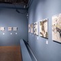 "Terre Inquiete", nuovo appuntamento con la mostra di Tullio Pericoli al Museo del Paesaggio
