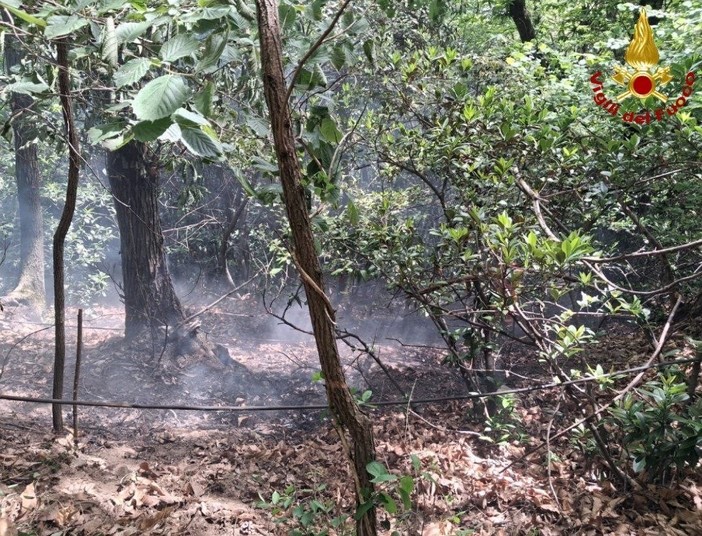 Incendio boschivo sul Monterosso: intervento tempestivo dei soccorsi
