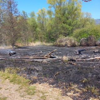 Incendio a Fondotoce, in fiamme un’area di canneto: intervento dei Vigili del Fuoco