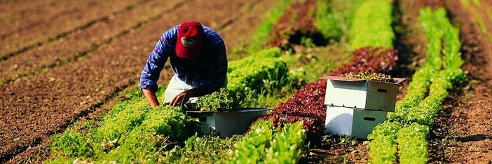 Coldiretti Piemonte: la multifunzionalità agricola strumento di resilienza per i giovani
