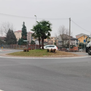 Verbania, polemiche sulla rotonda “Città di Villa Taranto”: manutenzione nel mirino del M5S