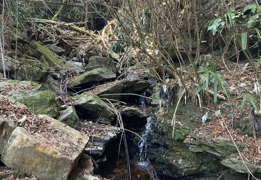 Baveno, al via i lavori di messa in sicurezza del rio Ronco Pariano Baveno, al via i lavori di messa in sicurezza del rio Ronco Pariano