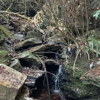 Baveno, al via i lavori di messa in sicurezza del rio Ronco Pariano