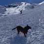Neve sulle montagne piemontesi: il Soccorso Alpino anticipa l'attivazione dell'unità cinofila da valanga