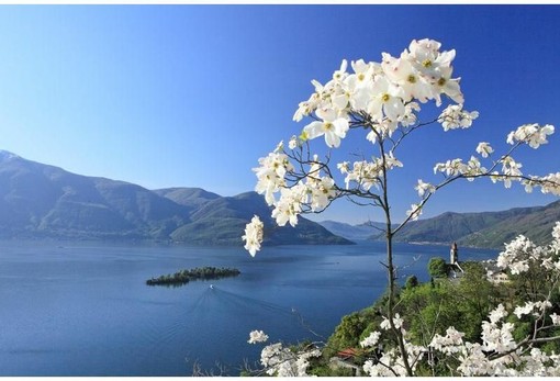 Ticino Turismo accelera sulla sostenibilità