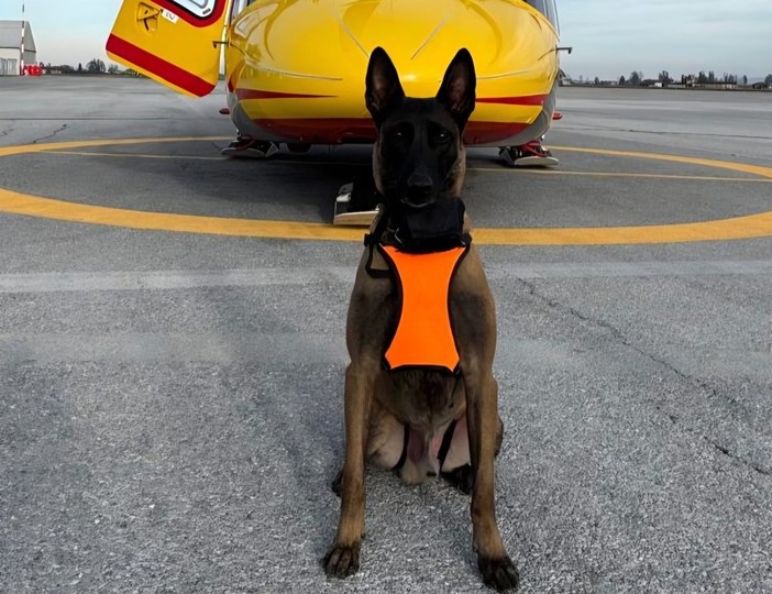 Attive da oggi le unità cinofile da valanga del Soccorso Alpino piemontese Attive da oggi le unità cinofile da valanga del Soccorso Alpino piemontese