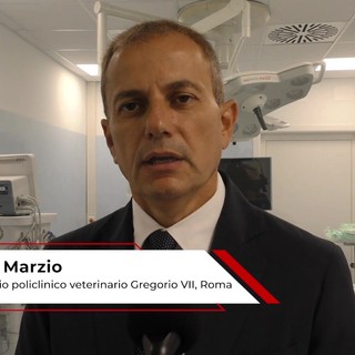 Università: Di Marzio (Gregorio VII), 'qui studenti di Veterinaria hanno occasione formativa unica' Università: Di Marzio (Gregorio VII), 'qui studenti di Veterinaria hanno occasione formativa unica'