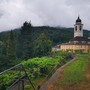 Sacri Monti del Piemonte, chieste più risorse per la tutela del patrimonio Unesco Sacri Monti del Piemonte, chieste più risorse per la tutela del patrimonio Unesco