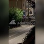 Assaltano un'armeria nel Cagliaritano, in un video le urla e gli spari nella notte Assaltano un'armeria nel Cagliaritano, in un video le urla e gli spari nella notte