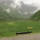 Resti umani trovati nei boschi della Val Loana, indagini per risalire all’identità Resti umani trovati nei boschi della Val Loana, indagini per risalire all’identità