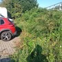 “Poca la cura del verde pubblico a Verbania”