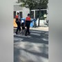 Bruxelles, il video dell'europarlamentare Scuderi trascinata dalla polizia: "Ero vicino sit-in neonazista" Bruxelles, il video dell'europarlamentare Scuderi trascinata dalla polizia: "Ero vicino sit-in neonazista"