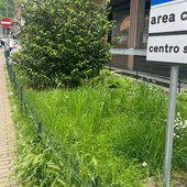 Verde pubblico, la Lega attacca: &quot;Pessima immagine della città, alle parole seguano i fatti&quot;