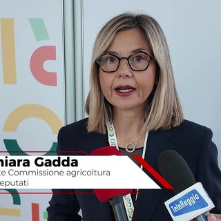 Ristorazione collettiva, Gadda: "Serve una cabina di regia nazionale" Ristorazione collettiva, Gadda: "Serve una cabina di regia nazionale"