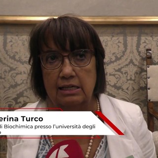 Farmaci: biochimica Turco, 'studiare meccanismi per molecole efficaci solo su processo patologico' Farmaci: biochimica Turco, 'studiare meccanismi per molecole efficaci solo su processo patologico'