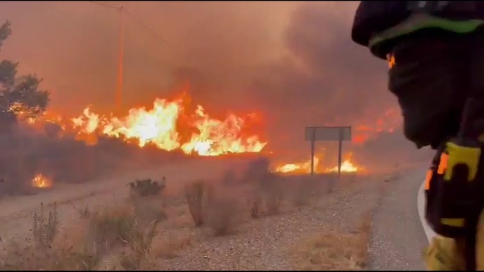 Incendio devastante in Andalusia, i vigili del fuoco cercano di domare le fiamme Incendio devastante in Andalusia, i vigili del fuoco cercano di domare le fiamme