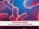 Malattia della pioggia, aumento dei casi in Europa Malattia della pioggia, aumento dei casi in Europa