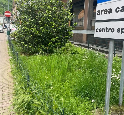 Verde pubblico, la Lega attacca: &quot;Pessima immagine della città, alle parole seguano i fatti&quot;