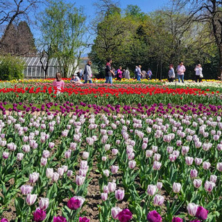 Torna la “Domenica ai Giardini” a Villa Taranto
