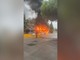 Proteste degli studenti in Francia, le immagini di un bus in fiamme a Marsiglia