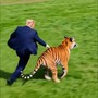 Trump, la lotta e l'abbraccio con la tigre: il tycoon posta la parodia AI della tragedia in Uk Trump, la lotta e l'abbraccio con la tigre: il tycoon posta la parodia AI della tragedia in Uk