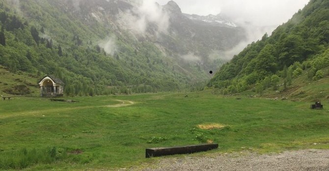 Resti umani trovati nei boschi della Val Loana, indagini per risalire all’identità Resti umani trovati nei boschi della Val Loana, indagini per risalire all’identità
