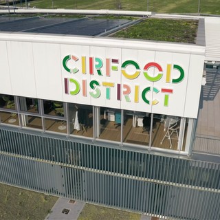 Ristorazione collettiva, appalti sostenibili per tutelare qualità e lavoro Ristorazione collettiva, appalti sostenibili per tutelare qualità e lavoro