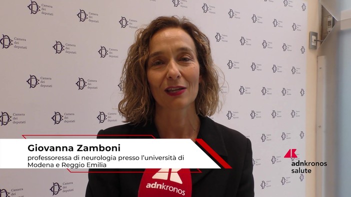 Alzheimer: Zamboni (UniMore), 'farmaci recenti puntano la proteina responsabile patologia' Alzheimer: Zamboni (UniMore), 'farmaci recenti puntano la proteina responsabile patologia'