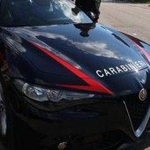 In casa un'arma, droga e due coccodrilli: arrestato In casa un'arma, droga e due coccodrilli: arrestato