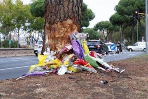 Beatrice Bellucci morta sulla Colombo a Roma, "nessuna gara": dinamica incidente, cosa dice la perizia Beatrice Bellucci morta sulla Colombo a Roma, "nessuna gara": dinamica incidente, cosa dice la perizia