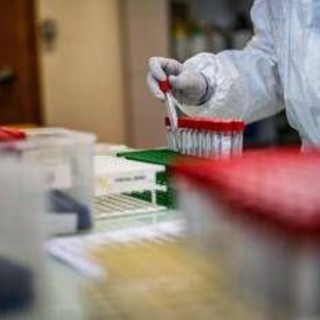 Covid, variante LP 8.1: ecco perché preoccupa, identikit e sintomi