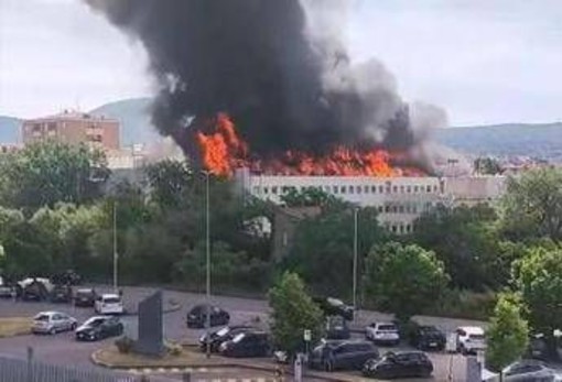 Viterbo, in fiamme tetto università agraria: evacuata facoltà
