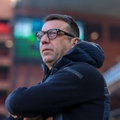 Il Torino cambia allenatore, ecco D’Aversa al posto di Baroni