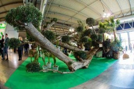 Myplant&Garden, X edizione dal 18 al 20 febbraio 2026 a Fiera Milano Rho Myplant&Garden, X edizione dal 18 al 20 febbraio 2026 a Fiera Milano Rho