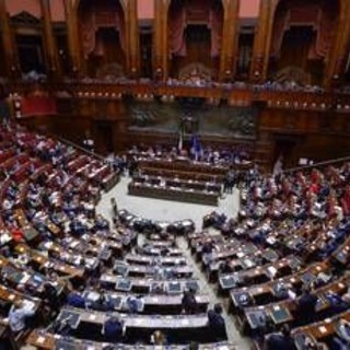 Manovra, 'Natale ad Atreju' e aiuti alle gattare: la lunga notte dei deputati alla Camera Manovra, 'Natale ad Atreju' e aiuti alle gattare: la lunga notte dei deputati alla Camera