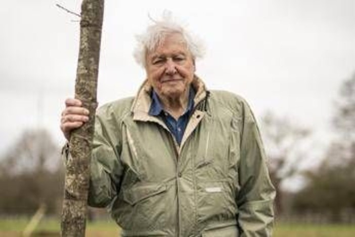 David Attenborough da record, a 99 anni vince il Daytime Emmy Award David Attenborough da record, a 99 anni vince il Daytime Emmy Award