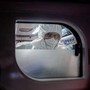 Hantavirus, ministero Salute: attivati protocolli di sorveglianza su 4 passeggeri del volo Klm passati per Roma. Ora si trovano in ﻿Calabria, Campania, Toscana e Veneto