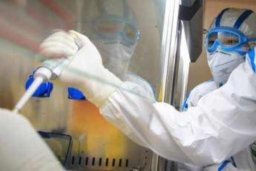 Ricerca, Aiom: "In Italia -57% studi indipendenti in 15 anni" Ricerca, Aiom: "In Italia -57% studi indipendenti in 15 anni"