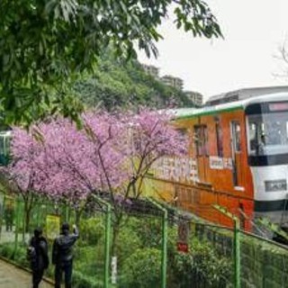 Tragedia in Cina: operai al lavoro travolti da un treno, 11 morti